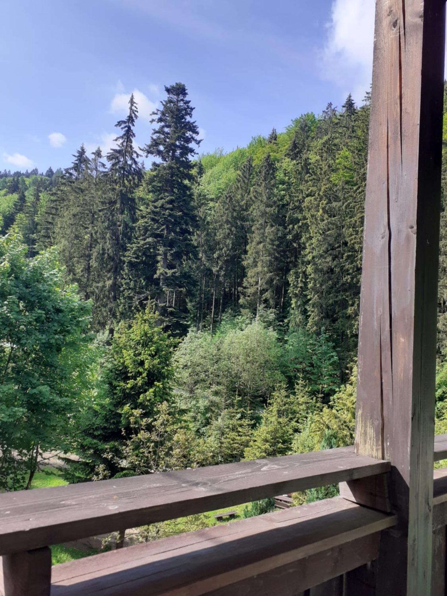 Apartamenty Kaskada Miedzygorze Quarto foto